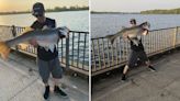 Man hooks massive striped bass while fishing in Delaware River