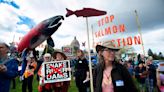 Northwest lawmakers grill feds over ‘secret backroom deal’ on Snake River dam breaching