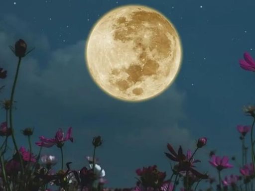 Luna Llena de mayo 2024: ¿cuándo es y a qué hora ver la Luna Flores desde México?