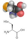 Amino acid