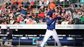 Syracuse Mets rally falls short in 4-2 loss to IronPigs