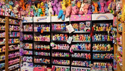 'Come As You Really Are': A joyful celebration of UK hobbies featuring 4,000 My Little Ponies
