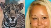 ‘Erotic Exotic’ zookeeper on the run after selling jaguar on Instagram to placate customer disappointed with monkey