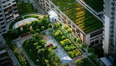 Solar integration and volcanic ash: How Europe is cooling cities with green roofs