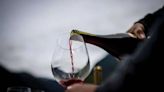 La sideral cifra que alcanzará el mercado del vino en el año 2024 | Noticias