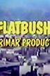 Flatbush (TV series)