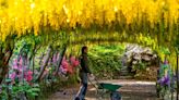 This gorgeous Welsh garden has been named one of the best in Europe