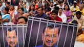 Indian Opposition Leader Released for Election Campaigning