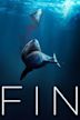 Fin (2021 film)