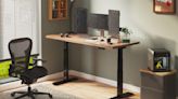 FlexiSpot E7 frame + Bamboo series standing desk