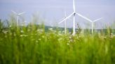 Finanzspritze aus Brüssel - Deutschland erhält Milliarden aus EU-Fördertopf für grüne Energien