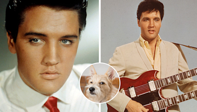 3 teorías que aseguran que Elvis Presley no murió: te harán dudar si sigue vivo