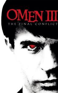 The Final Conflict (film)