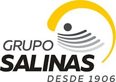 Grupo Salinas