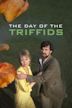 The Day of the Triffids