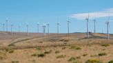 A cost-competitive wind farm that will save lots of carbon emissions? Don’t buy it | Opinion