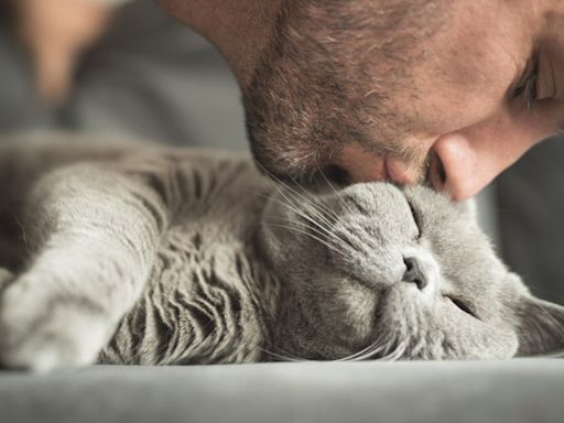 7 Cat Dads and Their Cute Cats We Can't Get Enough Of