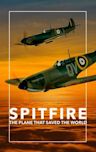 Spitfire (2018 film)