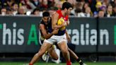 Petracca expects tag when Demons face Cats