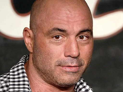 Joe Rogan's first stand-up special in 6 years on Netflix: "Burn the Boats" to feature Chris Rock and Katt Williams - The Economic Times