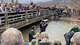 'This is like a birthday celebration.' Crowd gathers for Naples Creek trout sampling