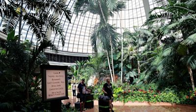 ‘Sad’ goodbyes as last Mirage hotel guests depart