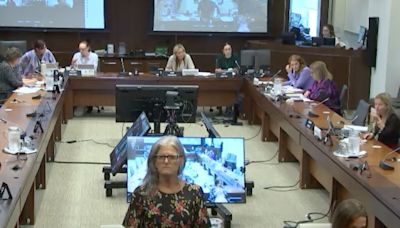 London women's advocate storms out of House committee meeting