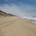 Marina State Beach