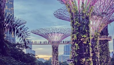 Singapore FinTech Festival 2024 To Take Place From 6-8 November, Spotlight On Artificial Intelligence And Quantum Technology