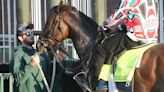 Chad Brown 'Very Pleased' With Two Days Of Gate Schooling For Sierra Leone