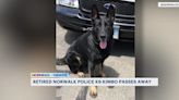 Norwalk police mourn loss of retired K-9 officer Kimbo