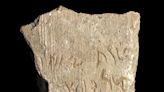 Archaeologists in Israel left red-faced after it transpired that a unique 'ancient' inscription was carved last summer