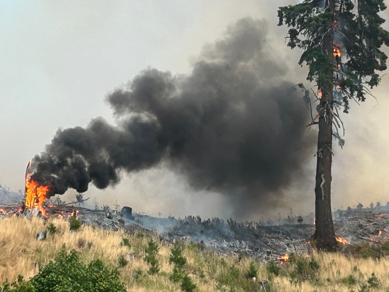 PHOTOS: Lee Falls Fire near Henry Hagg Lake threatens local homes