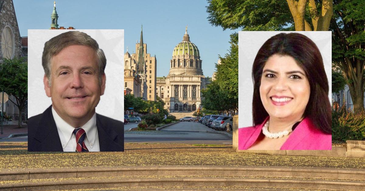 State Rep. Bob Freeman on track to beat Easton council member Taiba Sultana in 136th District Democratic primary race