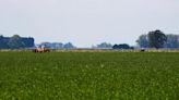 Bolsa Cereales advierte sobre posible recorte estimación cosecha soja argentina