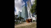 A giant tree in Miami waterfront park was chopped down by the city — without city approval