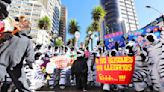 Cebras retornan para promover educación vial - El Diario - Bolivia