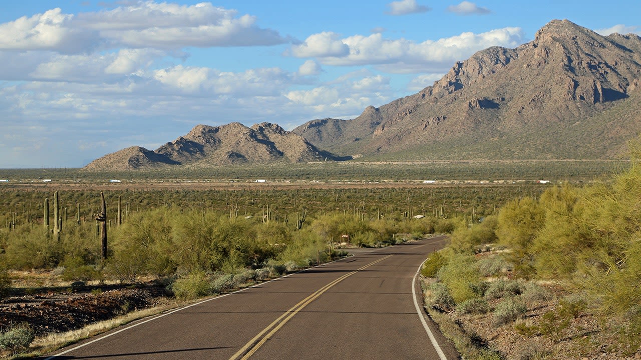 Emergency call leads Arizona officials to escaped reptile crossing busy highway