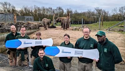 Blackpool Zoo joy as two elephants pregnant and due to give birth this year