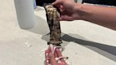 Passenger Caught Trying to Sneak Snakes Onto Their Flight