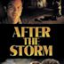 After the Storm (2001 film)