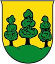 Saalfelden