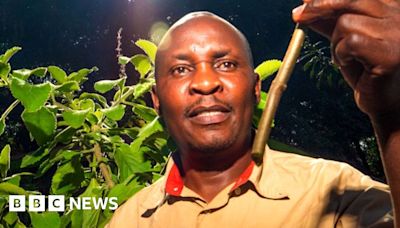 The Kenyan plant specialist making the case for traditional African medicine