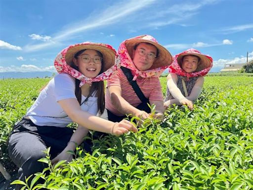 南投松柏嶺茶鄉體驗營 歡迎體驗一日製茶師