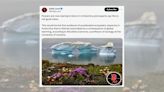 Fact Check: Flowers Are Now Blooming in Antarctica Because of Global Warming?