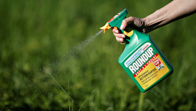 Can Bayer Weedkiller Cause Blood Cancer? What Australian Court Said
