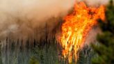 Storms cause record-breaking wildfires in Canada as British Columbia burns