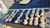 California woman fined $88K after kids collect clams from Pismo Beach