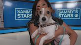 Sammy's Stars: Meet Carmella and Nolana Arenado