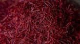 Red gold: Climate change plays role as saffron cultivation comes to Nova Scotia